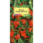Фасоль Победитель декоративная 5 шт (Гавриш)