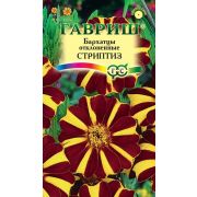 Бархатцы Стриптиз откл 0,3 г (Гавриш)