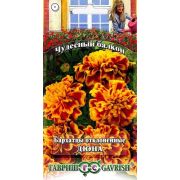 Бархатцы Дюна откл 0,3 г серия Чудесный балкон (Гавриш) Н1
