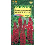 Люпин Рассела Красное пламя 0,5 г (Гавриш)