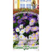 Брахикома Иберисолистая Нега 0,05 гр (Гавриш)