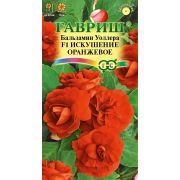 Бальзамин Уоллера F1 Искушение оранжевое 5шт(Гавриш)