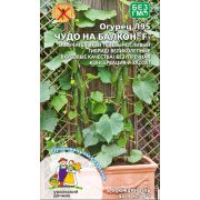 Огурец Чудо на Балкон 6 шт цв.п.(Марс)
