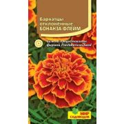 Бархатцы Бонанза Флейм 10 шт (Мир садоводов)