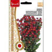 Астра Serenade Red (Sakata) 10шт (Ред.Сем.)