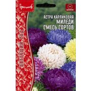 Астра Миледи Смесь Сортов карликовая 0,1гр (Ред.Сем.)
