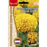 Бархатцы Antigua Gold F1 прямостоячие 5 шт (Ред.Сем.)