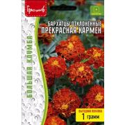 Бархатцы Прекрасная Кармен отклонённые (Bonita Carmen) ВП 1 г (Ред.Сем.)