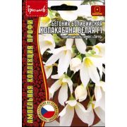 Бегония Копакабана Белая F1 боливийская ампельная (Copacabana White) 3 драже (Ред.Сем.)