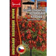 Бегония Копакабана Красная F1 боливийская ампельная (Copacabana Red) 3 драже (Ред.Сем.)