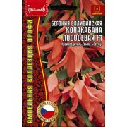 Бегония Копакабана Лососевая F1боливийская ампельная (Copacabana Salmon) 3 драже (Ред.Сем.)