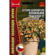 Бегония Копакабана Триколор F1 боливийская ампельная 3 драже  (Ред.Сем.)