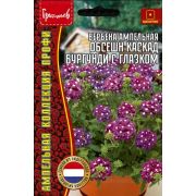 Вербена Обсешн Каскад Бургунди с Глазком ампельная 3шт (Ред.Сем.)
