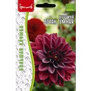 Георгина Вотан Тёмная (Wotan Dark Leaf)15 шт (Ред.Сем.)
