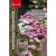 Делосперма Разноцветные Огоньки смесь сортов 0,01г (Ред.Сем.)