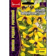 Клематис Пильчатолистный (Ломонос) ВП 50 шт (Ред.Сем.)