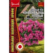 Львиный Зев Конфетный Душ Розовый ампельный 3 шт (Ред.Сем.)