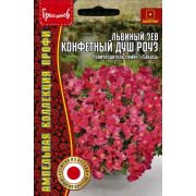Львиный Зев Конфетный Душ Роуз ампельный 3 шт (Ред.Сем.)