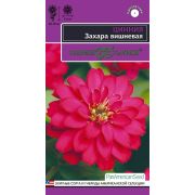 Цинния Захара Вишневая 6шт серия эксклюзив (Гавриш) Р.