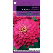 Цинния Захара Клубничная 6 шт серия эксклюзив (Гавриш) Р.