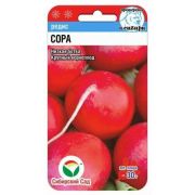 Редис Сора 0,5 гр (Сиб сад)
