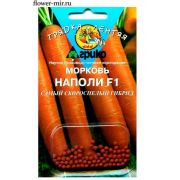 Морковь Наполи F1 100 шт Грядка лентяя (ГЛ) (Агрико)