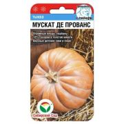 Тыква Мускат де Прованс 5шт (Сиб сад)