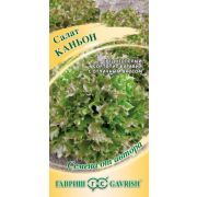 Салат Каньон листовой 0,5 г. Н12 (Гавриш)