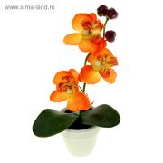 Композиция орхидея 22*8см цвет микс/140971