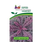 Капуста Скарлет кудряв 0,3 гр (Партнер)