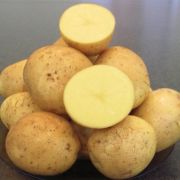 Картофель Гала (30кг)