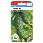 Огурец Забияка 7шт (Сиб сад)
