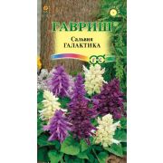 Сальвия Галактика карликовая смесь 8шт (Гавриш)