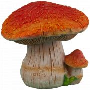 Два гриба с красной шапкой