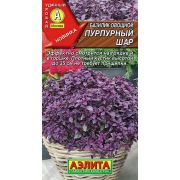 Базилик овощ Пурпурный шар цв.п 0,3 гр (АЭЛИТА)